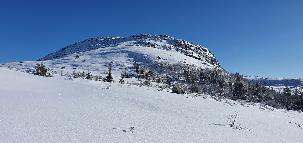 Gjøafjellet