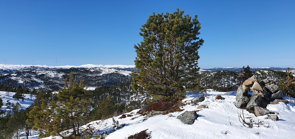 På Hifjellet