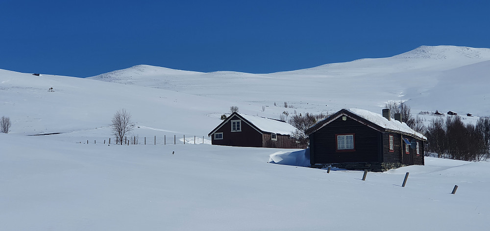 Nydelig dag i Loslia
