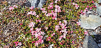JoSo_20230614_648a140460532.jpg