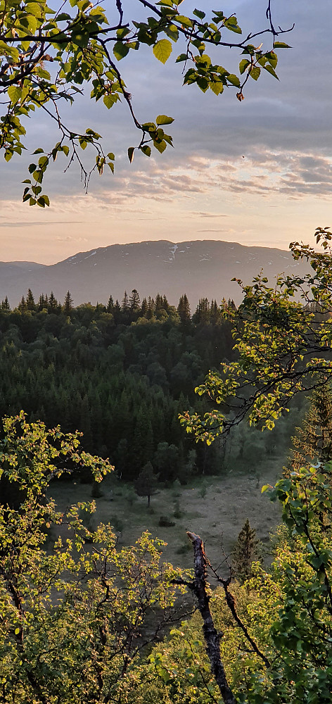 Det er vakkert ved midnatt like før solsnu-dagen :) Gynneldfjellet i bakgrunnen