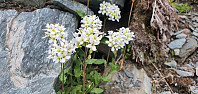 JoSo_20230623_649564c438f52.jpg