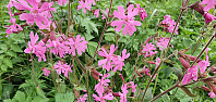 JoSo_20230623_649564ca420c1.jpg