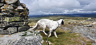 JoSo_20230726_64c0dd2abcd8e.jpg