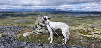 JoSo_20230726_64c0dd3040430.jpg