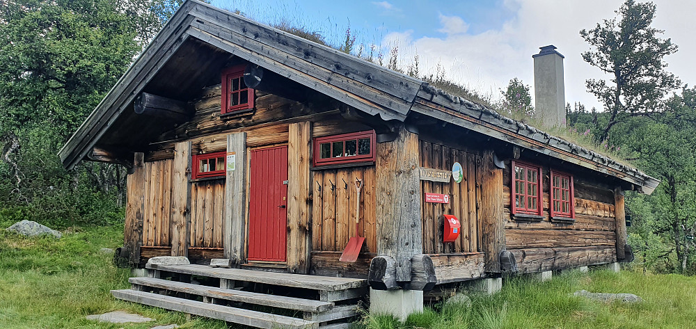 Dusehesten (DNT)