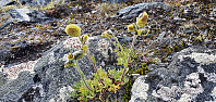 JoSo_20230803_64cbcb54ef065.jpg