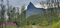 JoSo_20230815_64dbeb7f7c363.jpg