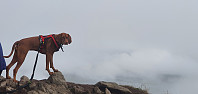 JoSo_20230831_64f03b66d6dba.jpg