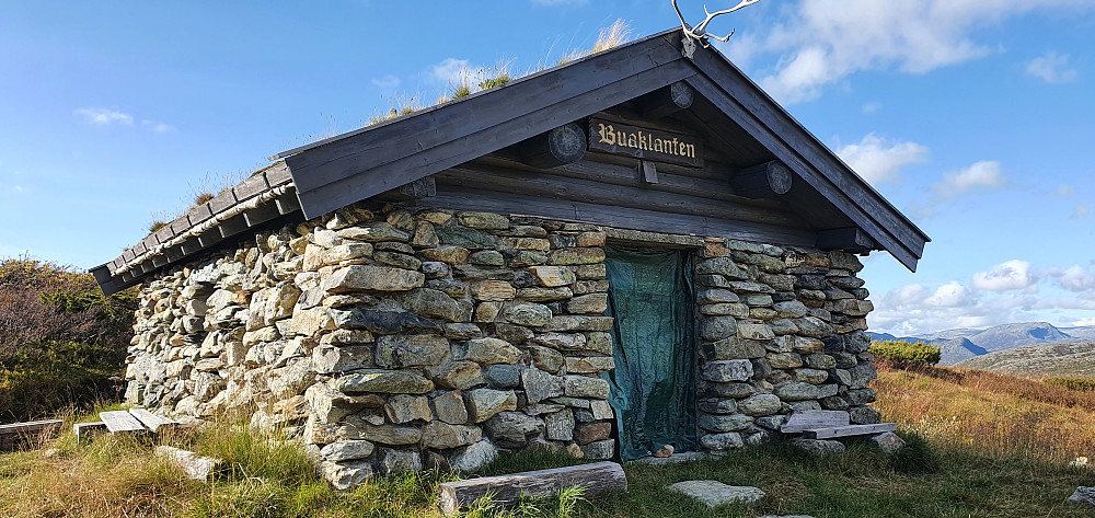 Buaklanten
