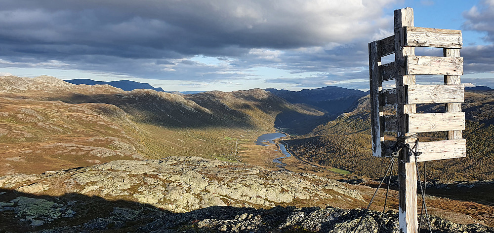 Bakkestølnøse