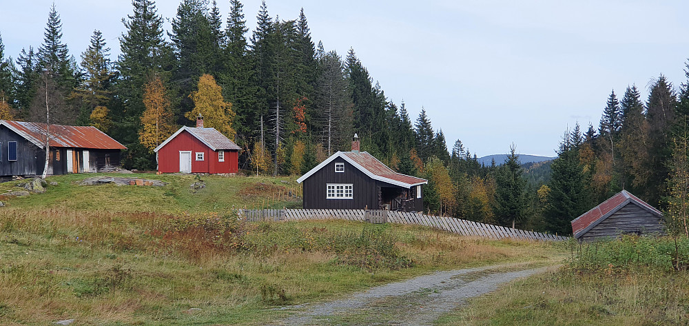 Grønlisetra