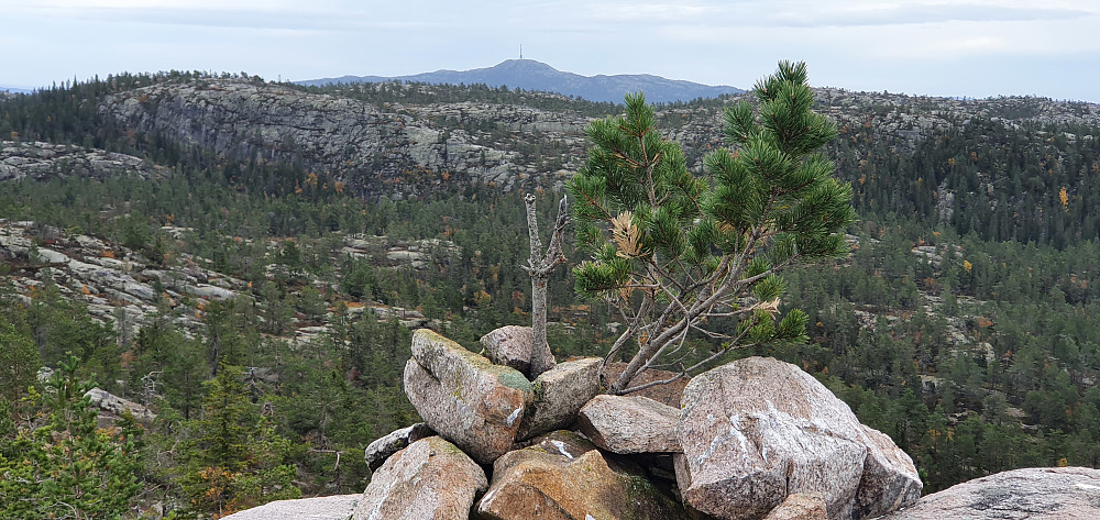 Fjellstulfjellet Sørøst