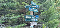 JoSo_20231010_652518fe3a397.jpg