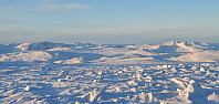 JoSo_20231210_657642aa797ff.jpg