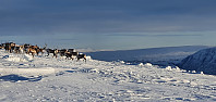 JoSo_20240120_65ac1e05c0efa.jpg