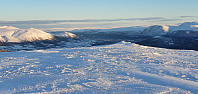 JoSo_20240120_65ac1e0a03dfa.jpg