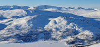 JoSo_20240208_65c52faaa8463.jpg