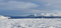 JoSo_20240214_65cd2ccc78f41.jpg