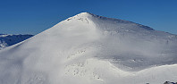 JoSo_20240215_65ce2f22b2209.jpg