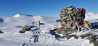 JoSo_20240215_65ce2f267489a.jpg