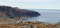 JoSo_20240315_65f464d3b781a.jpg