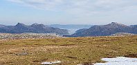 JoSo_20240315_65f481969f135.jpg