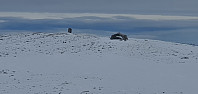 JoSo_20240315_65f4be479a419.jpg