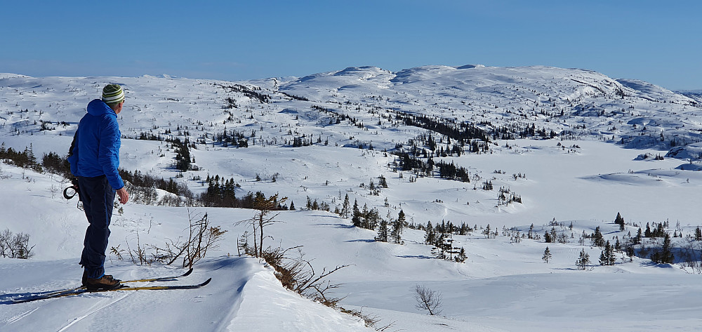 Drivsjøen og Skardfjellet