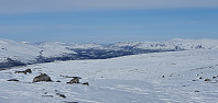JoSo_20240406_6611ae4c5166e.jpg