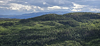 JoSo_20240609_6665e3619c0d0.jpg