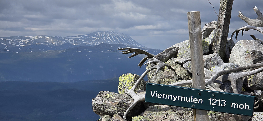 På Blenuten (Viermyrnuten) med Gaustatoppen i bakgrunnen