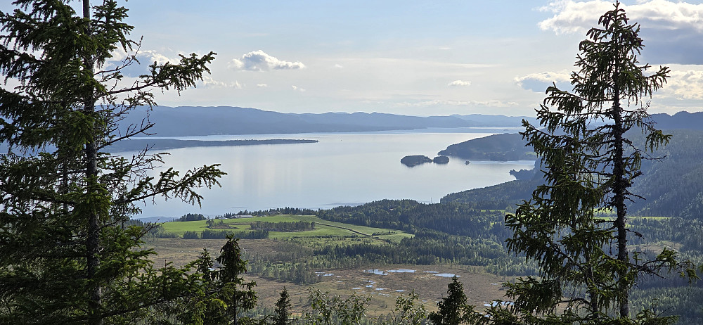 Snåsavatnet