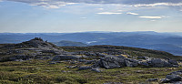 JoSo_20240618_6671a55b44963.jpg