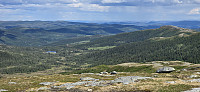 JoSo_20240618_6671c8940fa70.jpg