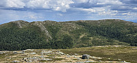 JoSo_20240618_6671c895440d9.jpg