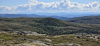 JoSo_20240618_6671e030db614.jpg
