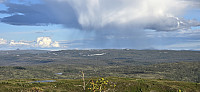 JoSo_20240618_6671eef9e565e.jpg