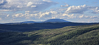 JoSo_20240618_6671eefc00ae5.jpg