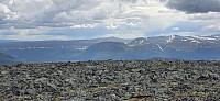 JoSo_20240618_6671f3e532a10.jpg