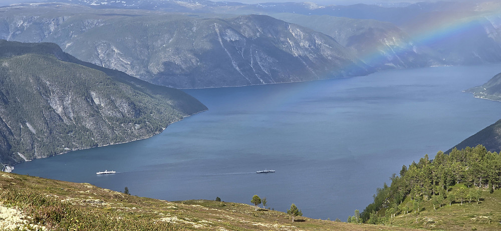Flott utsikt over Sognefjorden
