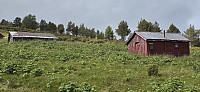 JoSo_20240624_6678a662df656.jpg