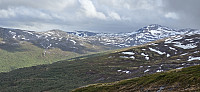 JoSo_20240624_6678a66658351.jpg