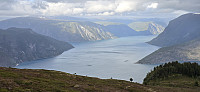 JoSo_20240624_6678a66ac504a.jpg