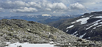 JoSo_20240630_668127cad46ec.jpg