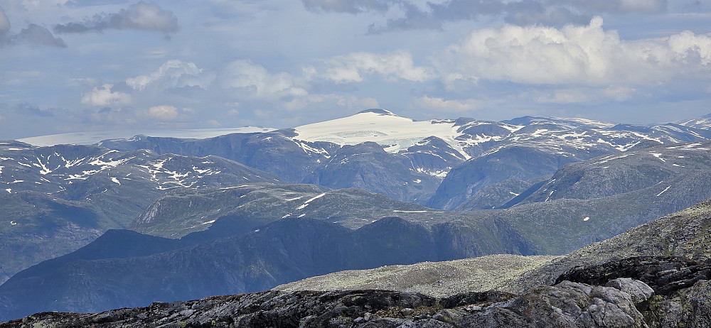 Snønipa