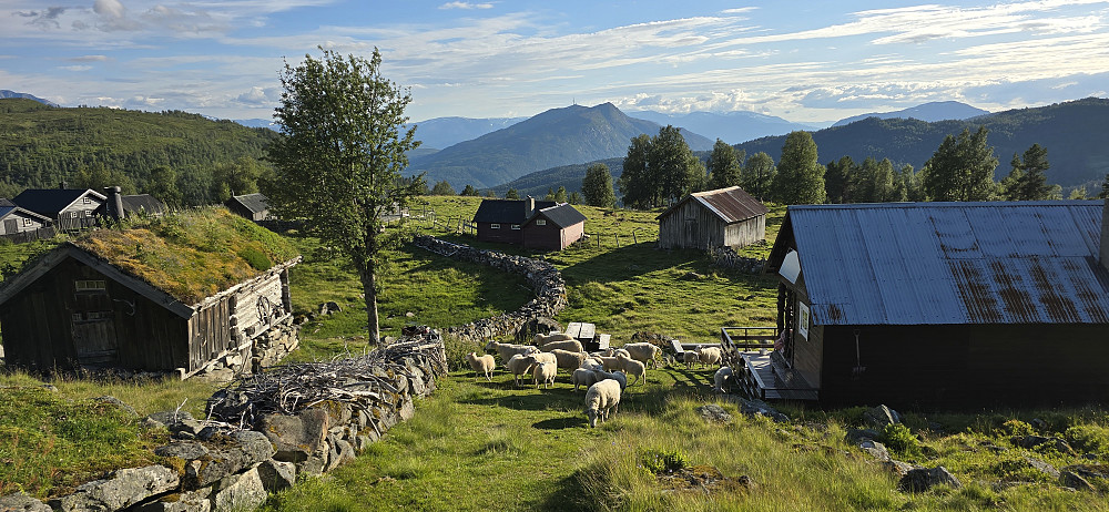 Vassløysa
