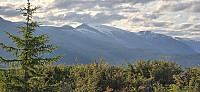JoSo_20240807_66b3d092216f1.jpg