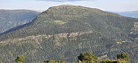 JoSo_20240807_66b3d09667434.jpg
