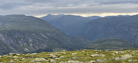 JoSo_20240807_66b3d7fba6741.jpg